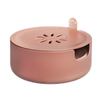 magic microgreens toffee terra